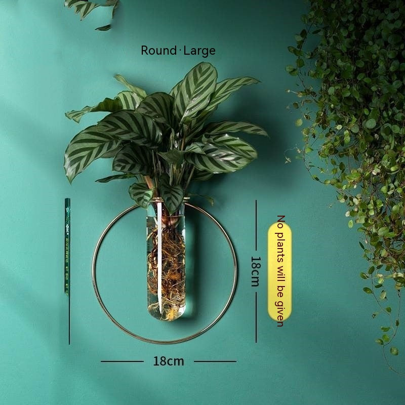 Verdéa™ Wall-Mounted Glass Vase Collection