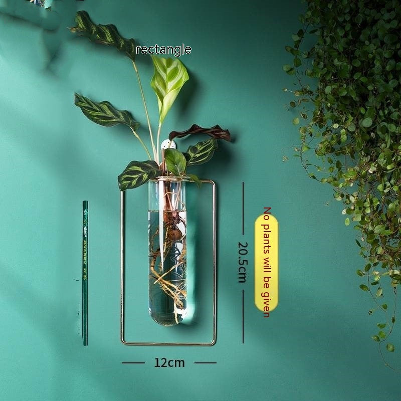 Verdéa™ Wall-Mounted Glass Vase Collection