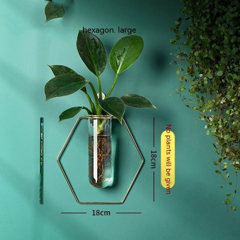 Verdéa™ Wall-Mounted Glass Vase Collection