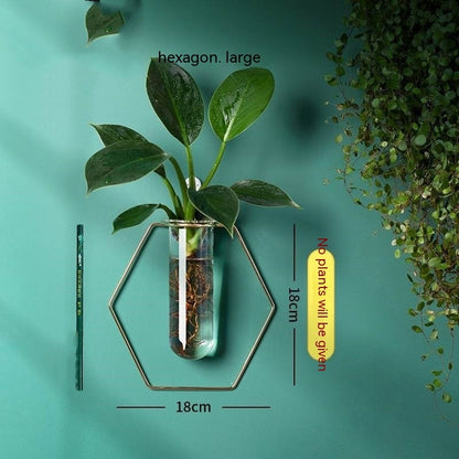 Verdéa™ Wall-Mounted Glass Vase Collection