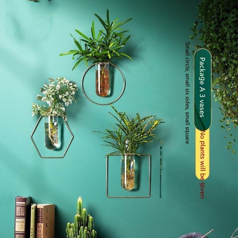 Verdéa™ Wall-Mounted Glass Vase Collection