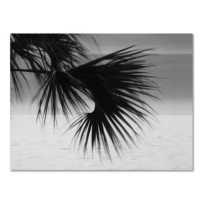 Monochrome Serenity Gallery Wall Set
