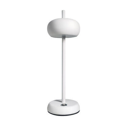 EmberGlow USB Desk Lamp