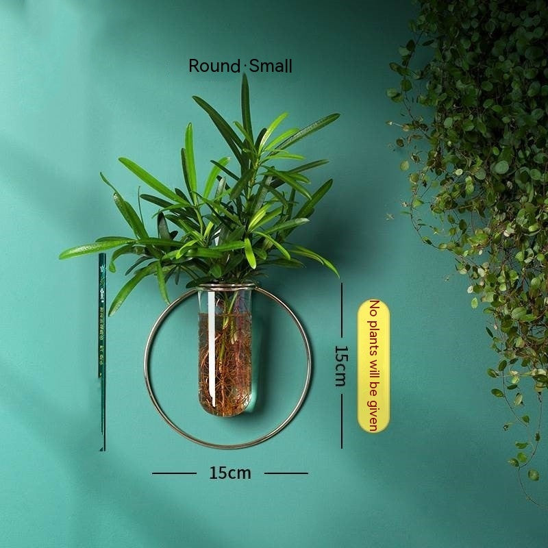 Verdéa™ Wall-Mounted Glass Vase Collection