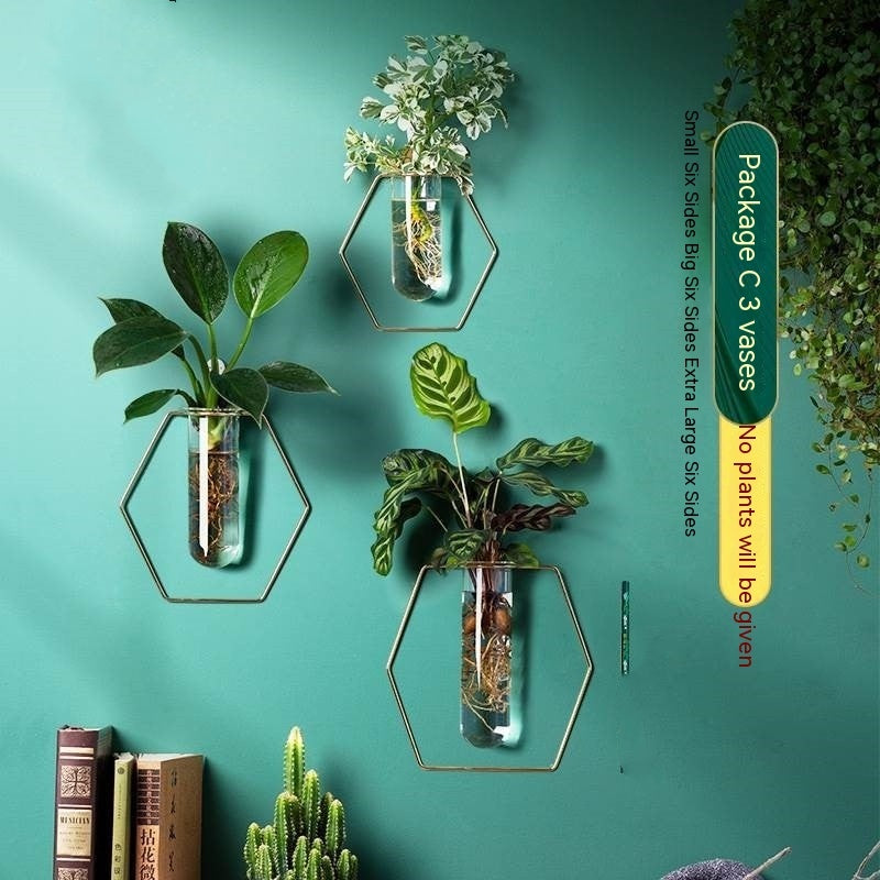 Verdéa™ Wall-Mounted Glass Vase Collection