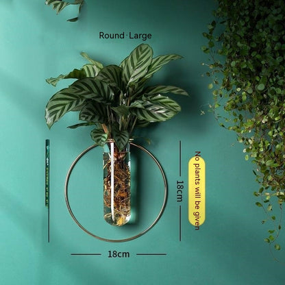 Verdéa™ Wall-Mounted Glass Vase Collection