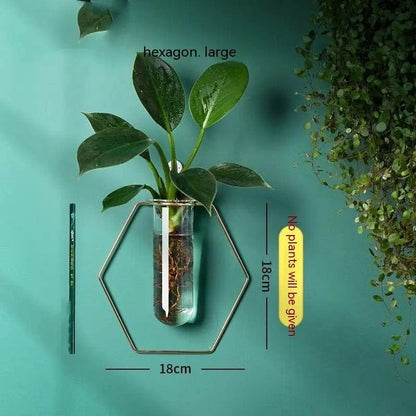 Verdéa™ Wall-Mounted Glass Vase Collection Hexagonal Large by Simple Homes