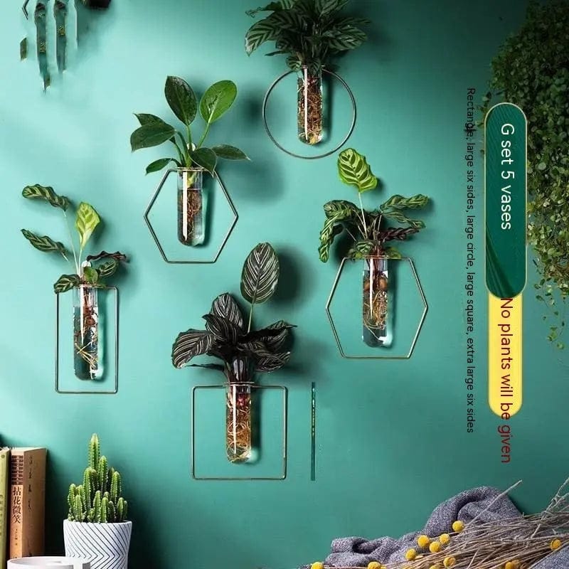 Verdéa™ Wall-Mounted Glass Vase Collection Package G by Simple Homes