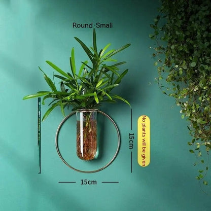 Verdéa™ Wall-Mounted Glass Vase Collection Round Small Size by Simple Homes