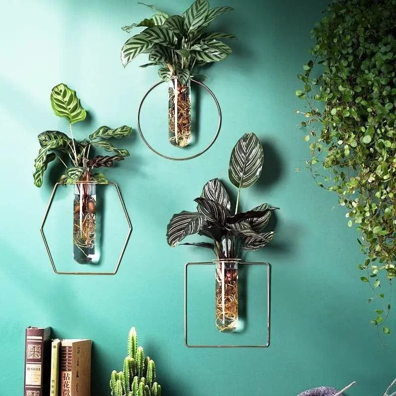 Verdéa™ Wall-Mounted Glass Vase Collection by Simple Homes