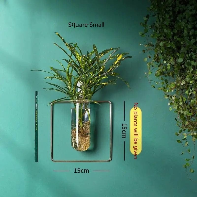 Verdéa™ Wall-Mounted Glass Vase Collection Square Small Size by Simple Homes